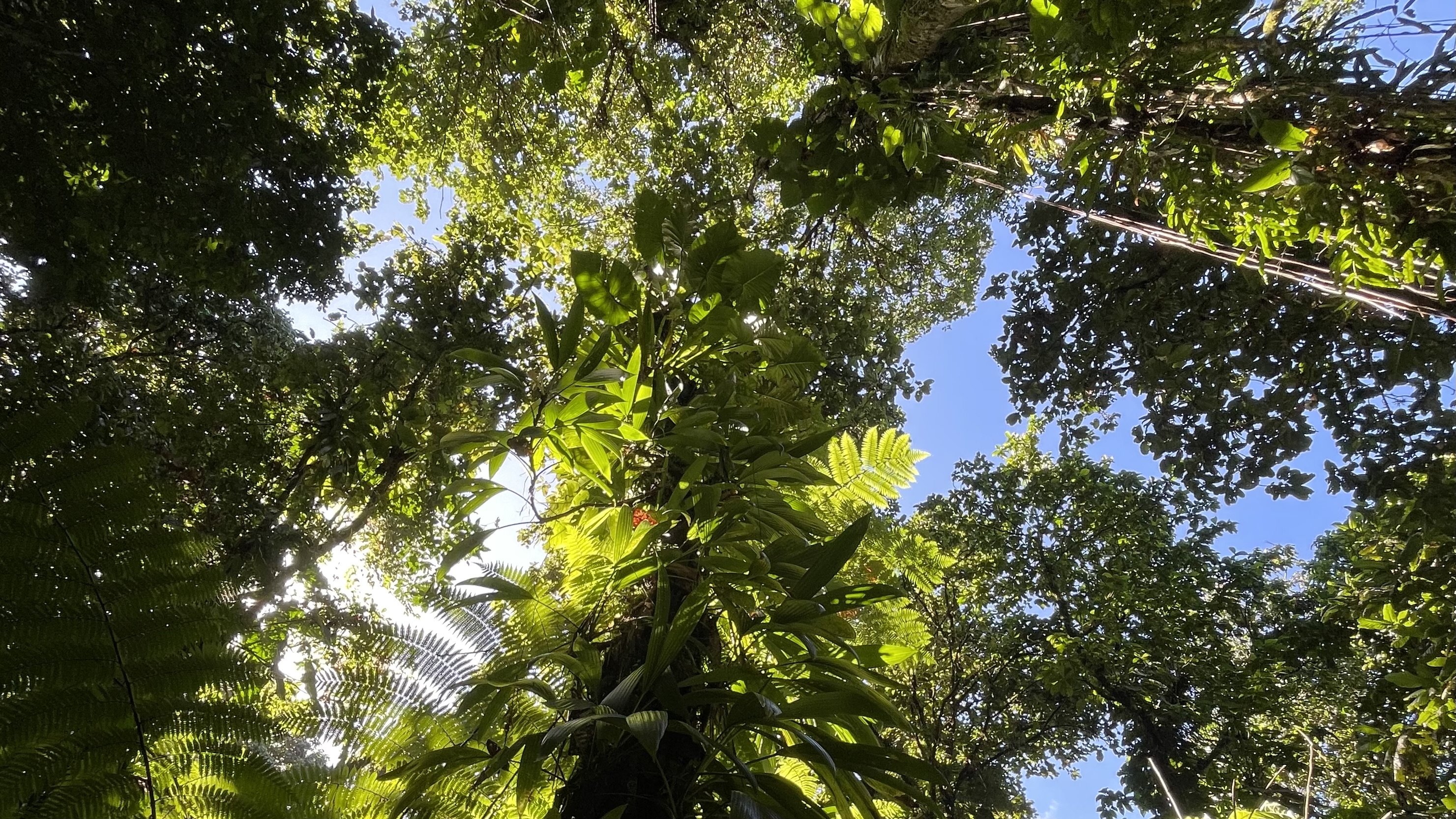 Werbung mit Umweltaussagen: Was ändert sich durch die EmpCo-Richtlinie wirklich?